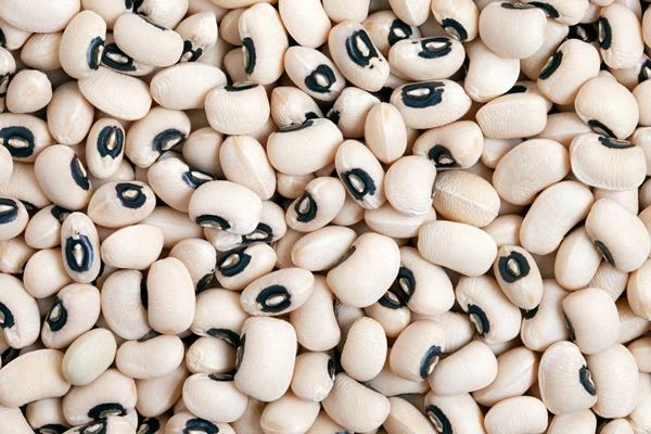 Import of Cow Peas in August 2023 Soars to $350K in the Netherlands